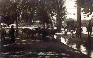 6. Años 1920-30. Feria de los gitanos